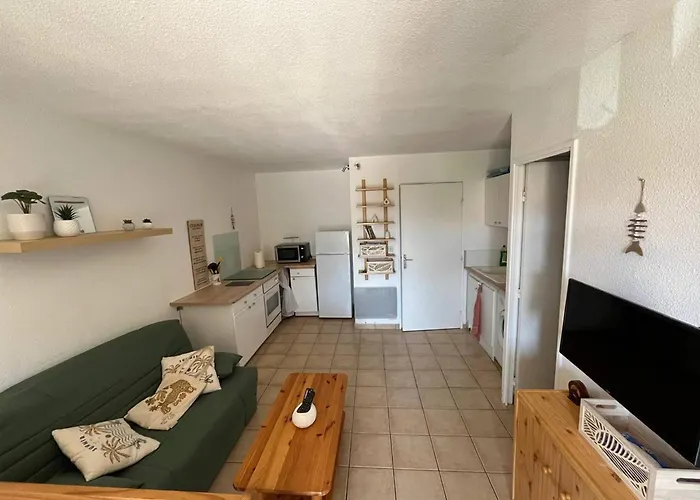 4 Pers Avec Terrasse Et Parking A - Fr-1-619-153 Apartment *